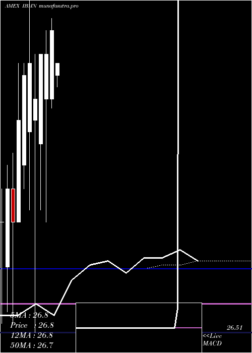  monthly chart IsharesIbonds