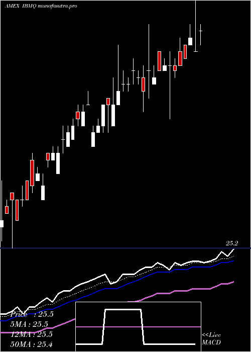  Daily chart IsharesIbonds