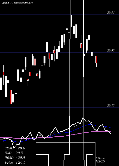 Daily chart IgiLaboratories