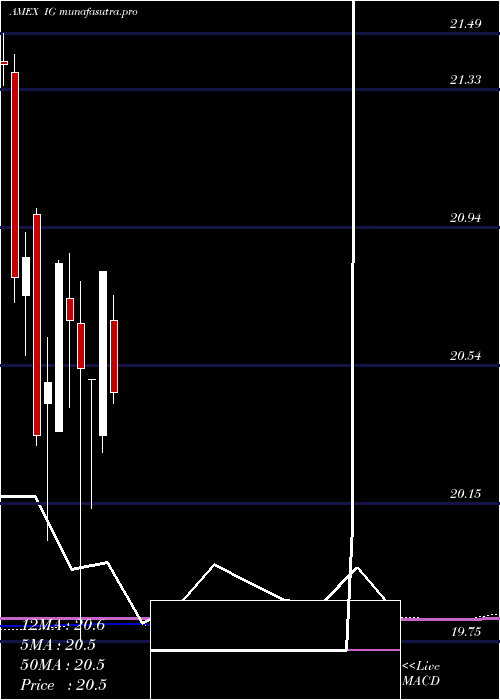 monthly chart IgiLaboratories