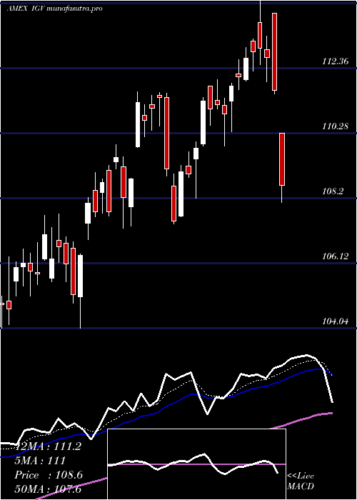  Daily chart SP