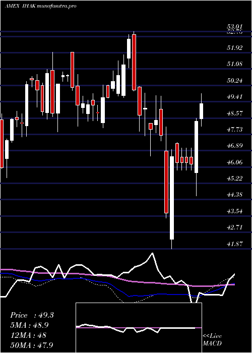weekly chart IsharesCybersecurity