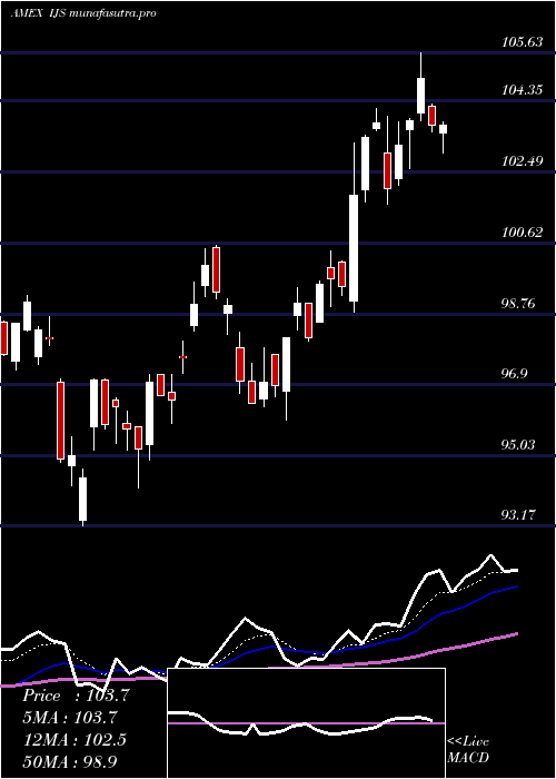 Daily chart SP
