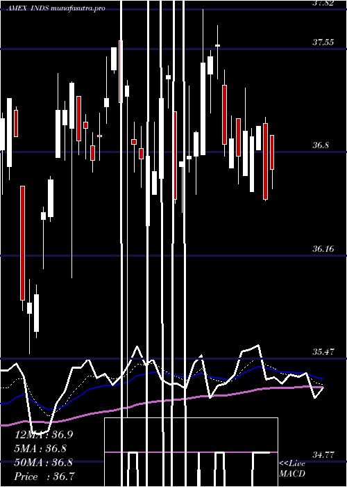 Daily chart PacerBenchmark
