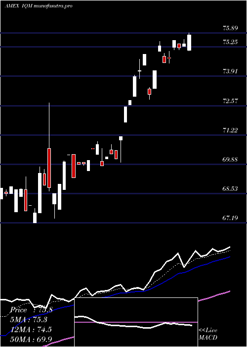 Daily chart FranklinIntelligent