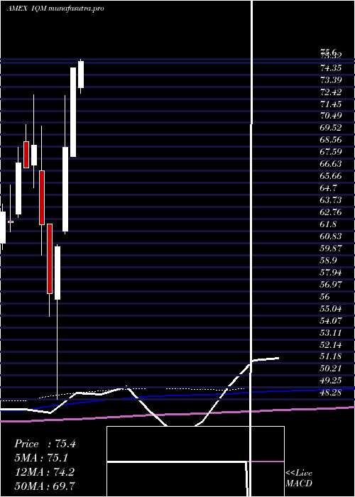 monthly chart FranklinIntelligent