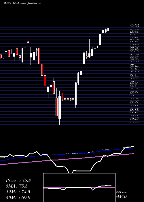 weekly chart FranklinIntelligent