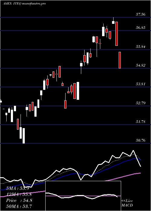 Daily chart BluestarIsrael
