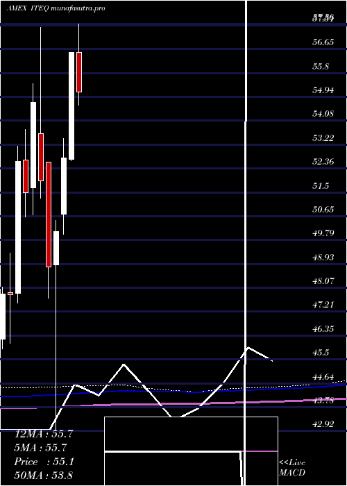 monthly chart BluestarIsrael