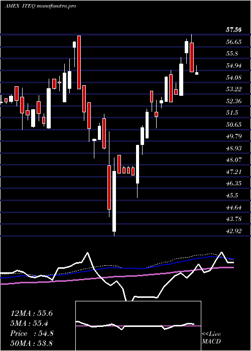 weekly chart BluestarIsrael