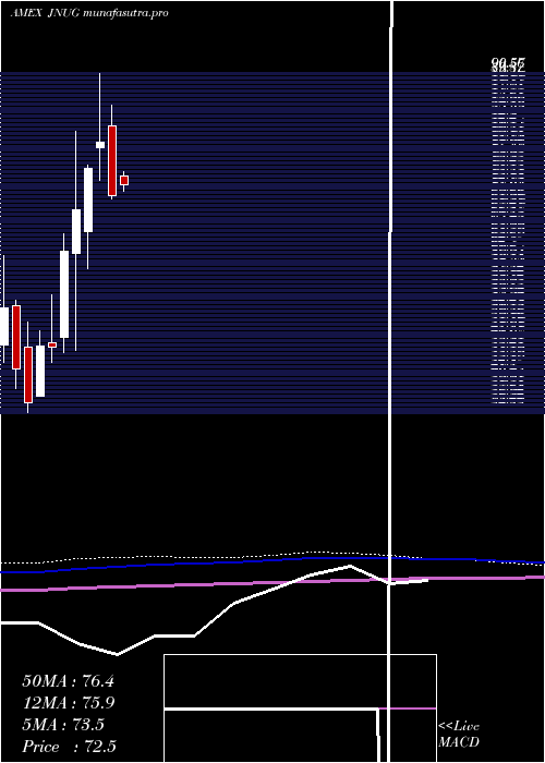  monthly chart DirexionDaily