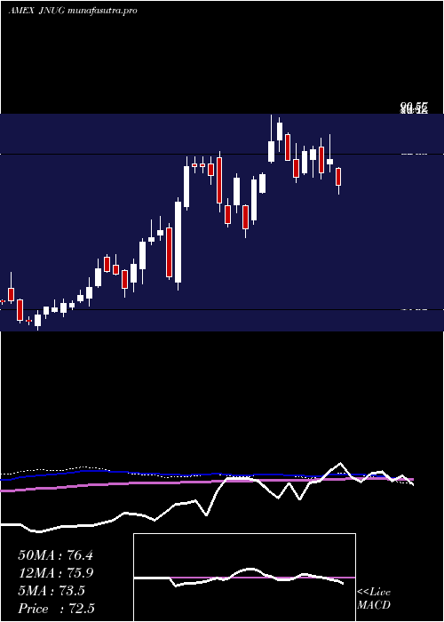  weekly chart DirexionDaily