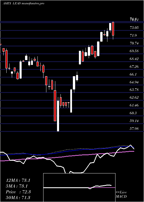  weekly chart RealityShares