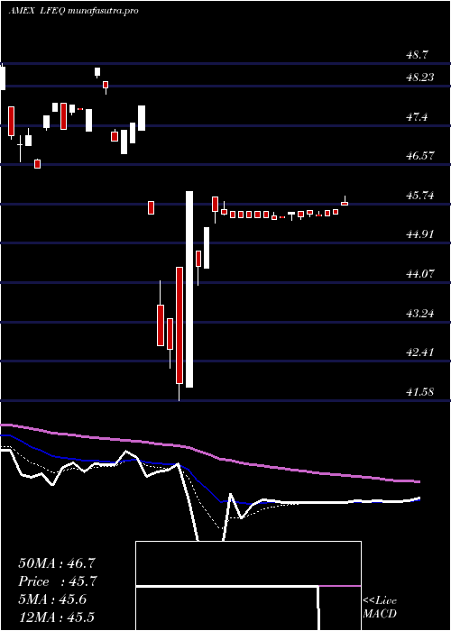 Daily chart VaneckVectors