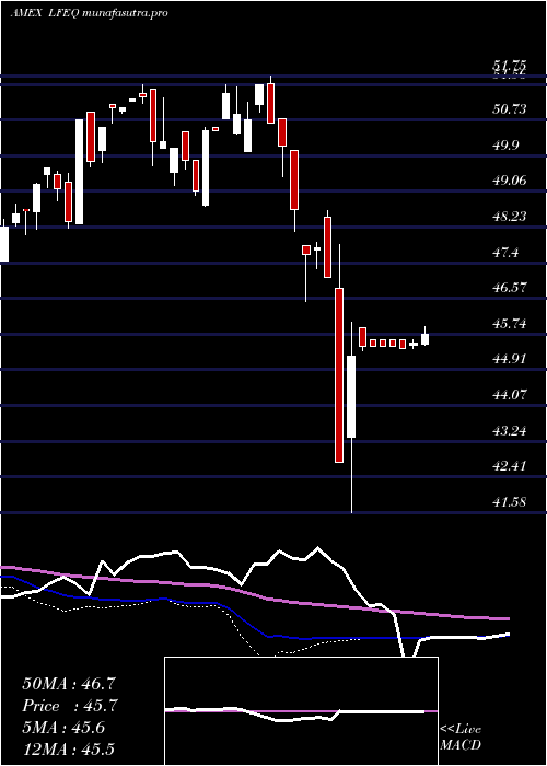 weekly chart VaneckVectors