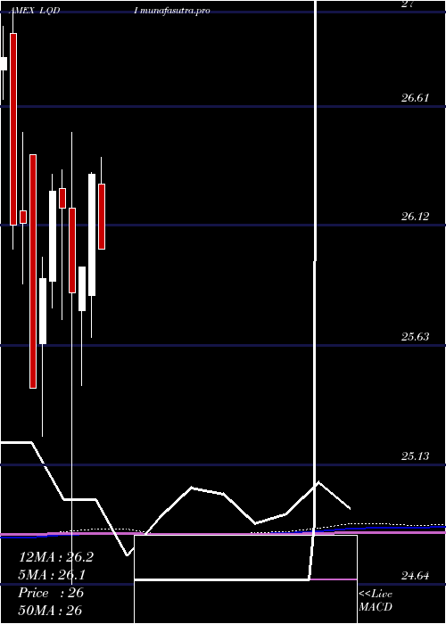 monthly chart IsharesInflation