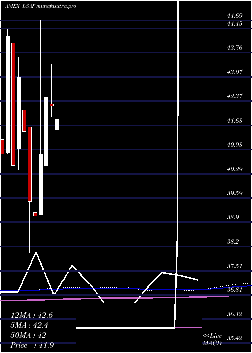  monthly chart LeadersharesAlphafactor