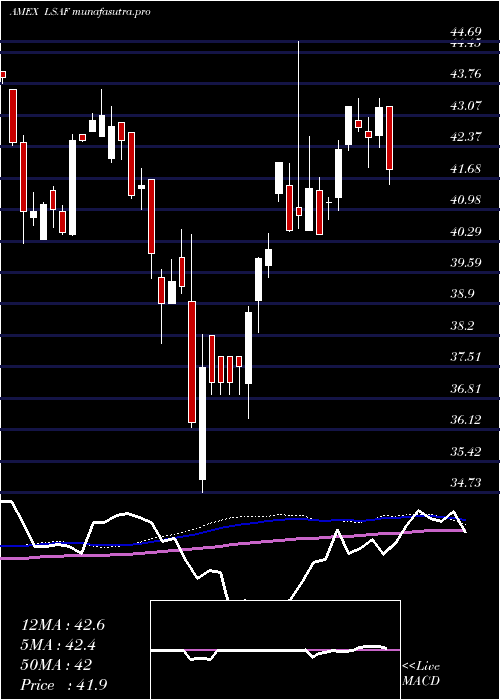  weekly chart LeadersharesAlphafactor