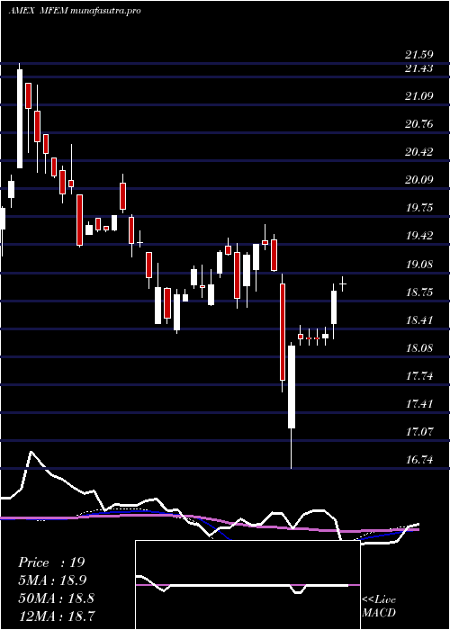 weekly chart PimcoRafi