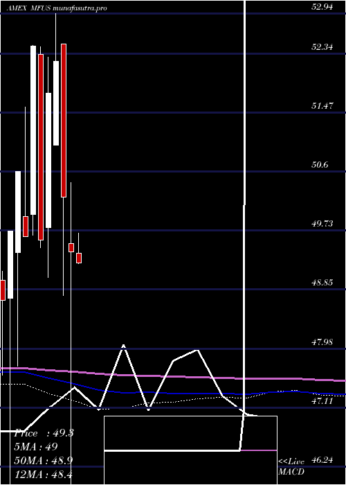 monthly chart PimcoRafi