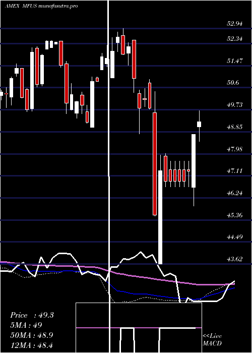 weekly chart PimcoRafi