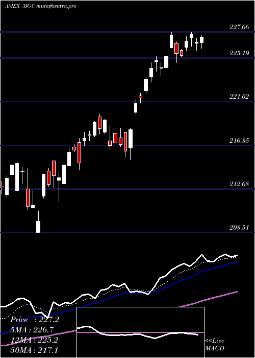 Daily chart Megacap300
