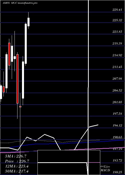 monthly chart Megacap300
