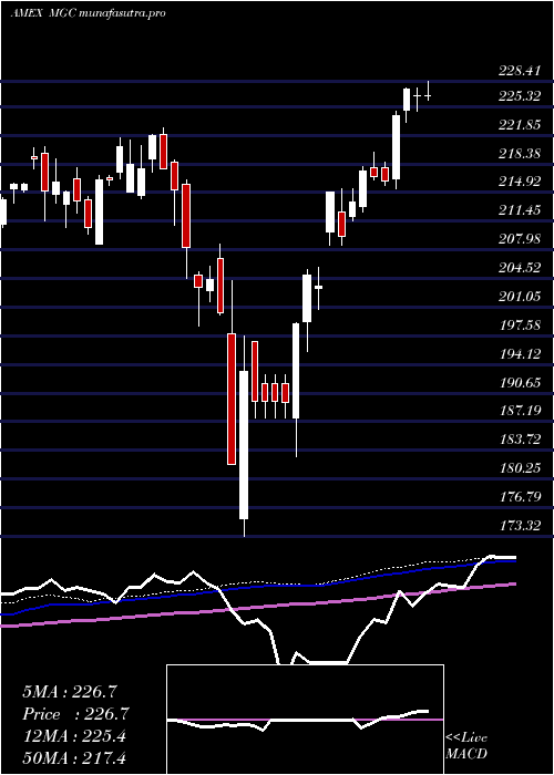 weekly chart Megacap300