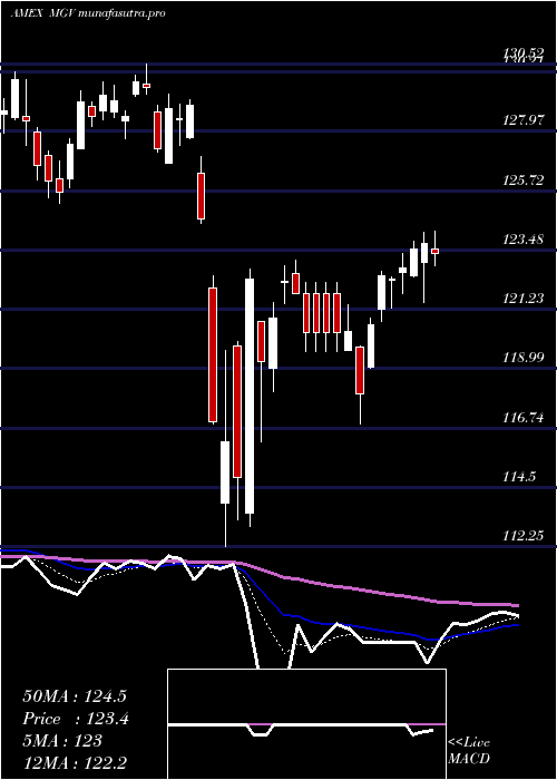  Daily chart Megacap300