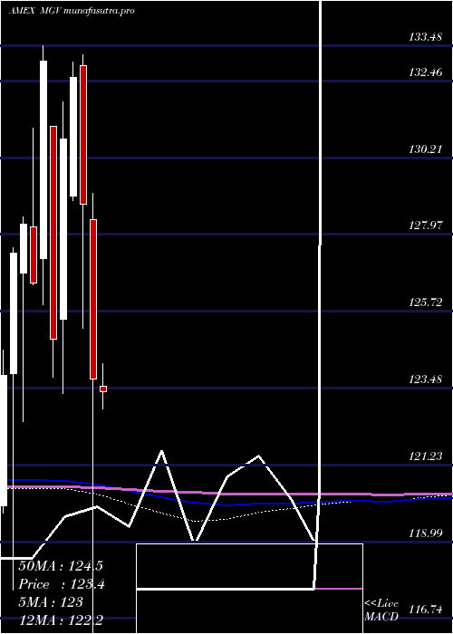  monthly chart Megacap300