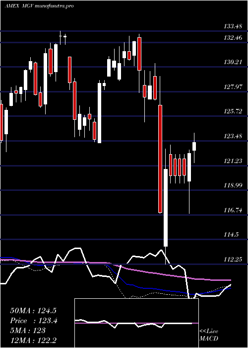  weekly chart Megacap300