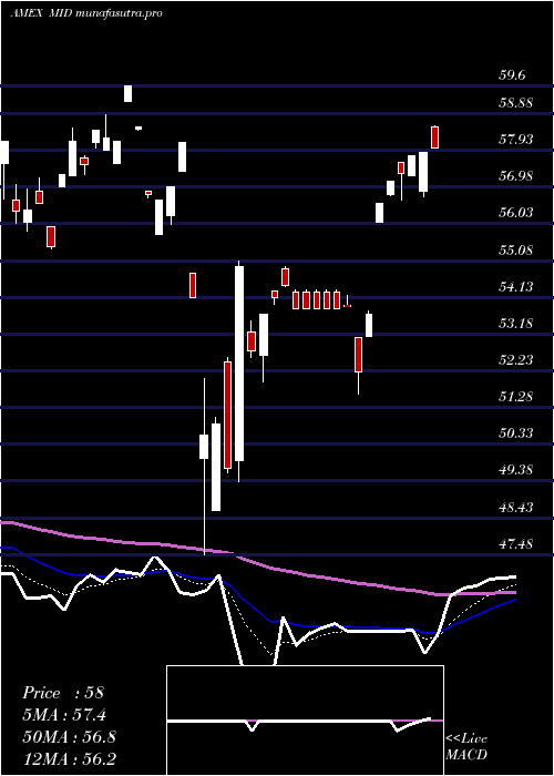  Daily chart AmericanCentury