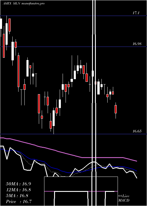 Daily chart LongMunicipal