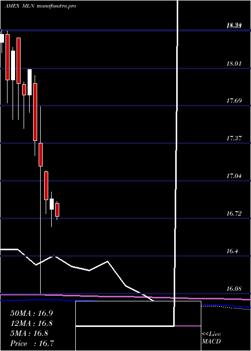 monthly chart LongMunicipal