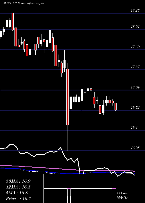 weekly chart LongMunicipal