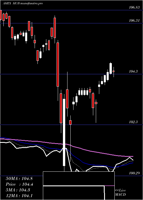  Daily chart SP