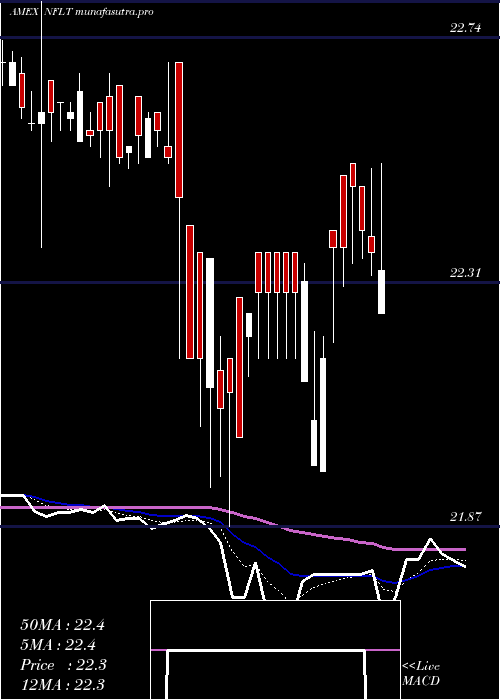 Daily chart VirtusNewfleet