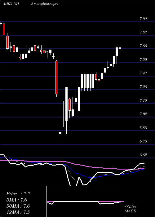  Daily chart NeubergerBerman