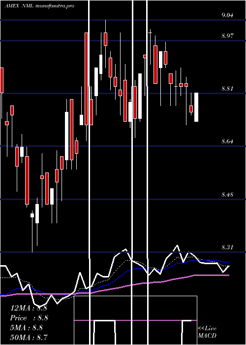 Daily chart NeubergerBerman