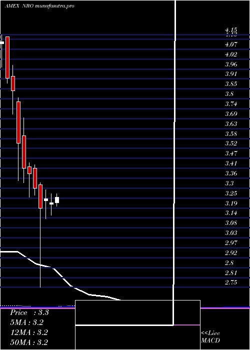monthly chart NeubergerBerman