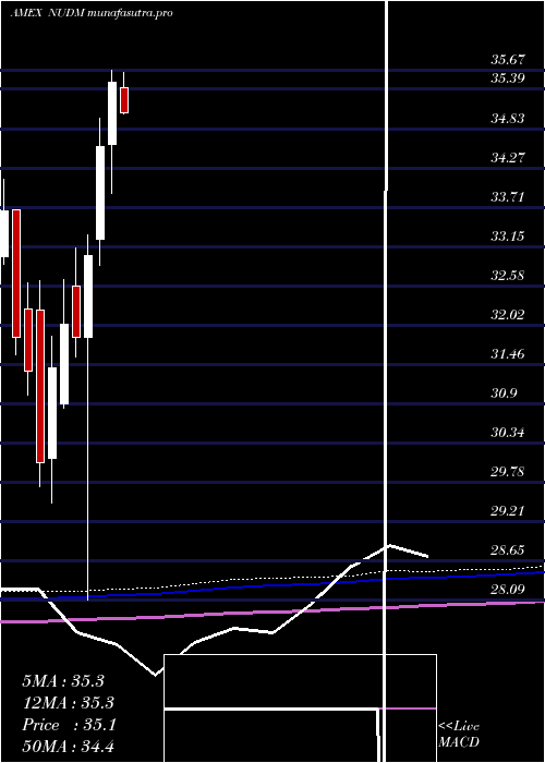 monthly chart NusharesEsg
