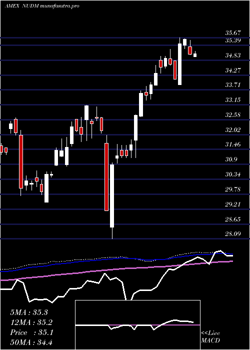 weekly chart NusharesEsg