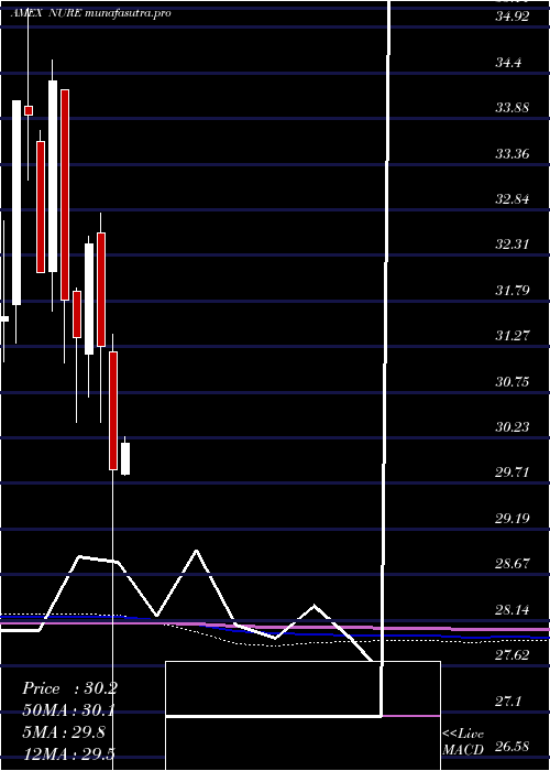 monthly chart NusharesShort
