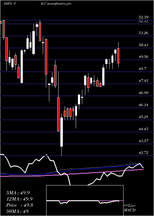  weekly chart PacerLarge