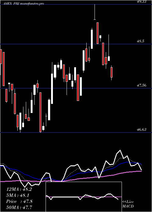 Daily chart DynamicFood