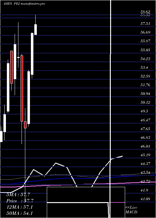 monthly chart DynamicLeisure