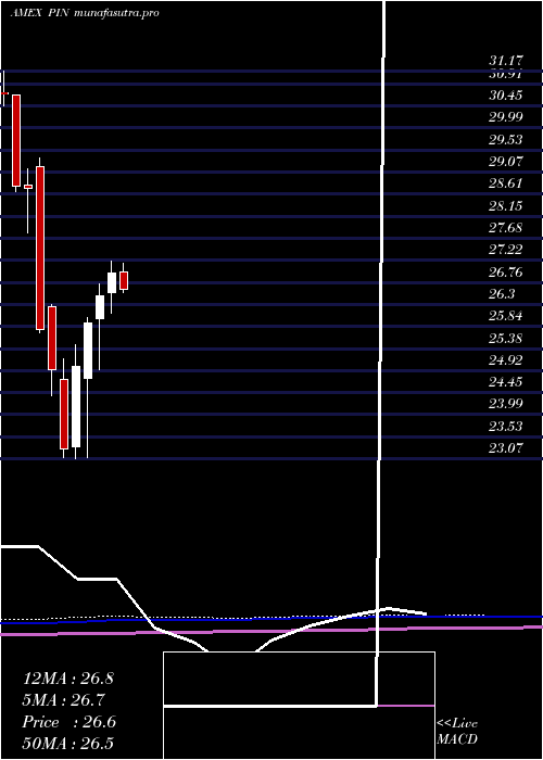 monthly chart IndiaPowershares