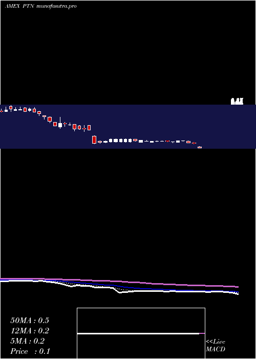 Daily chart PalatinTechnologies