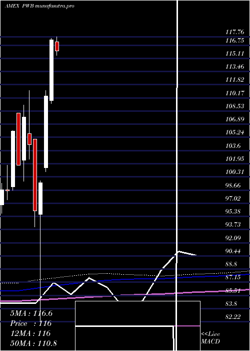 monthly chart DynamicLargecap