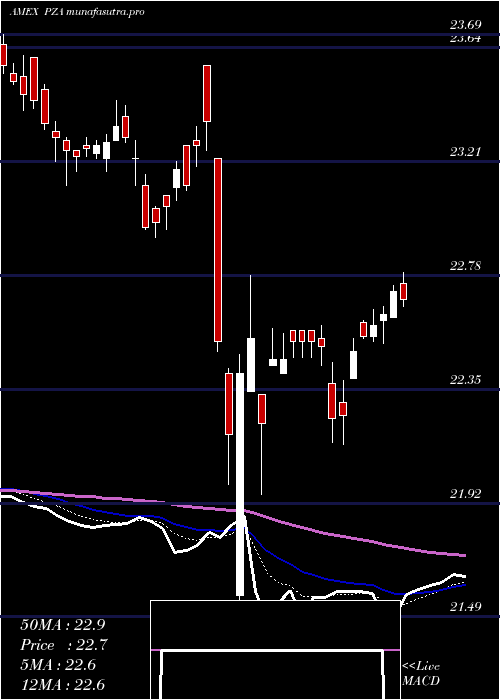  Daily chart InsuredNational